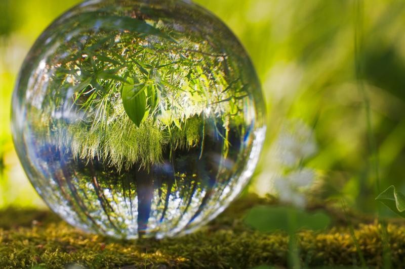 Licenciamento ambiental cetesb renovação