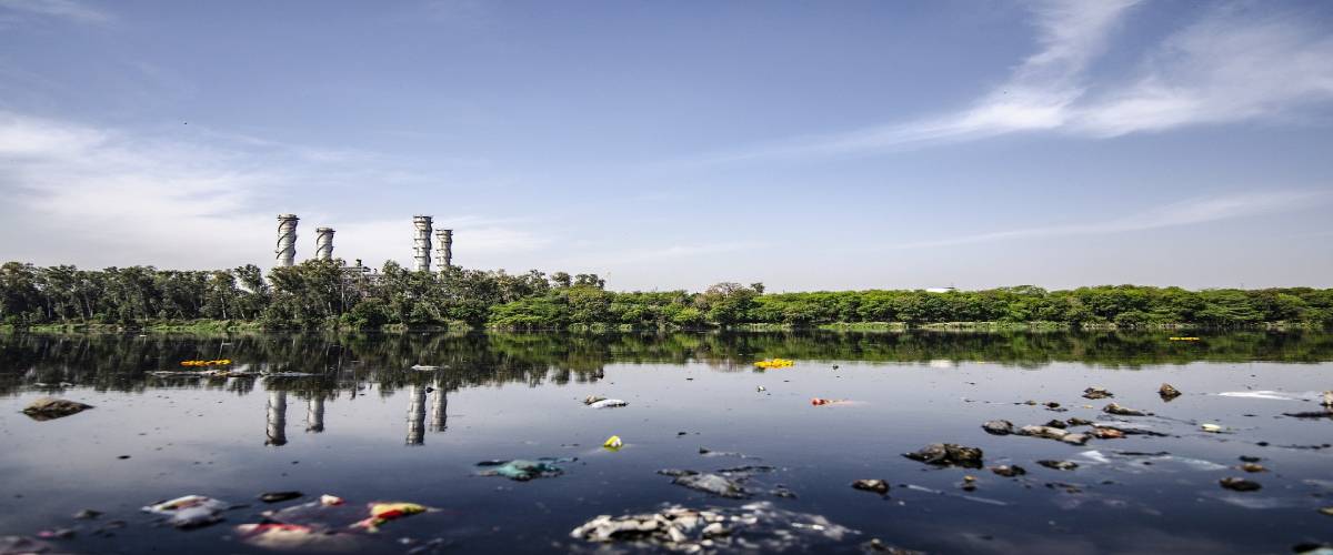 Contaminação